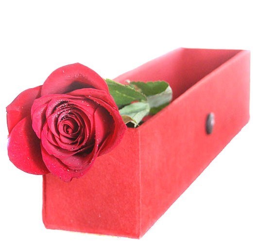 Buy Rose Online Delivery Kathmandu Gifts to Nepal Giftmandu