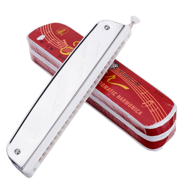 Tower 24 Hole Chromatic Mouth Harmonica Online Gifts to Nepal Giftmandu