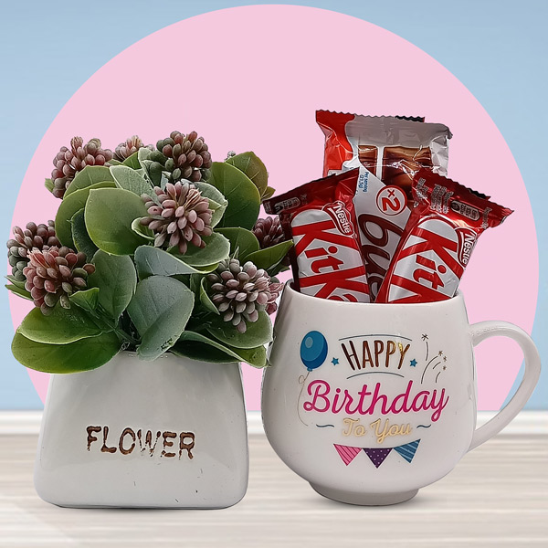 Plant, Chocolates & Mug Online Nepal Gifts to Nepal Giftmandu
