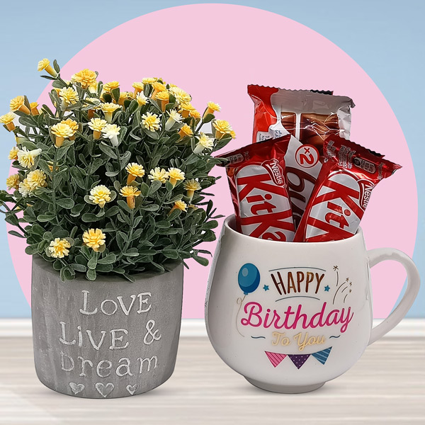 Plant, Chocolates & Mug Online Nepal Gifts to Nepal Giftmandu