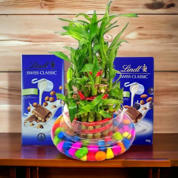 Lucky Bamboo in Clear Vase With Chocolates Hamper Gifts to Nepal